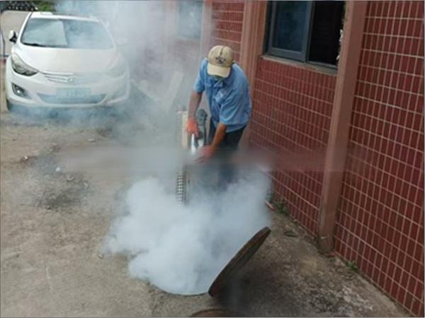 环境蟑螂消杀工程